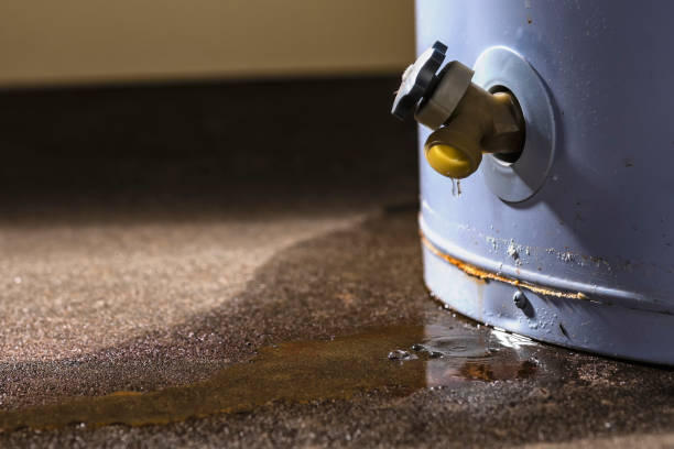 Best Local water damage restoration  in Poulsbo, WA