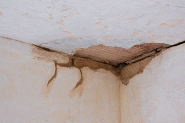Best Water damage contractors near me  in Poulsbo, WA