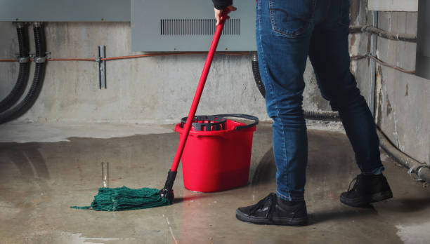 Best Mold removal after water damage  in Poulsbo, WA